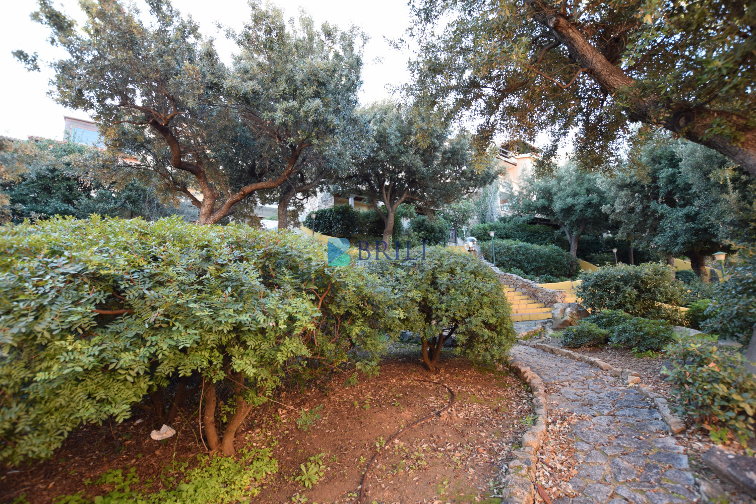 Porto Rotondo: flat with seaview