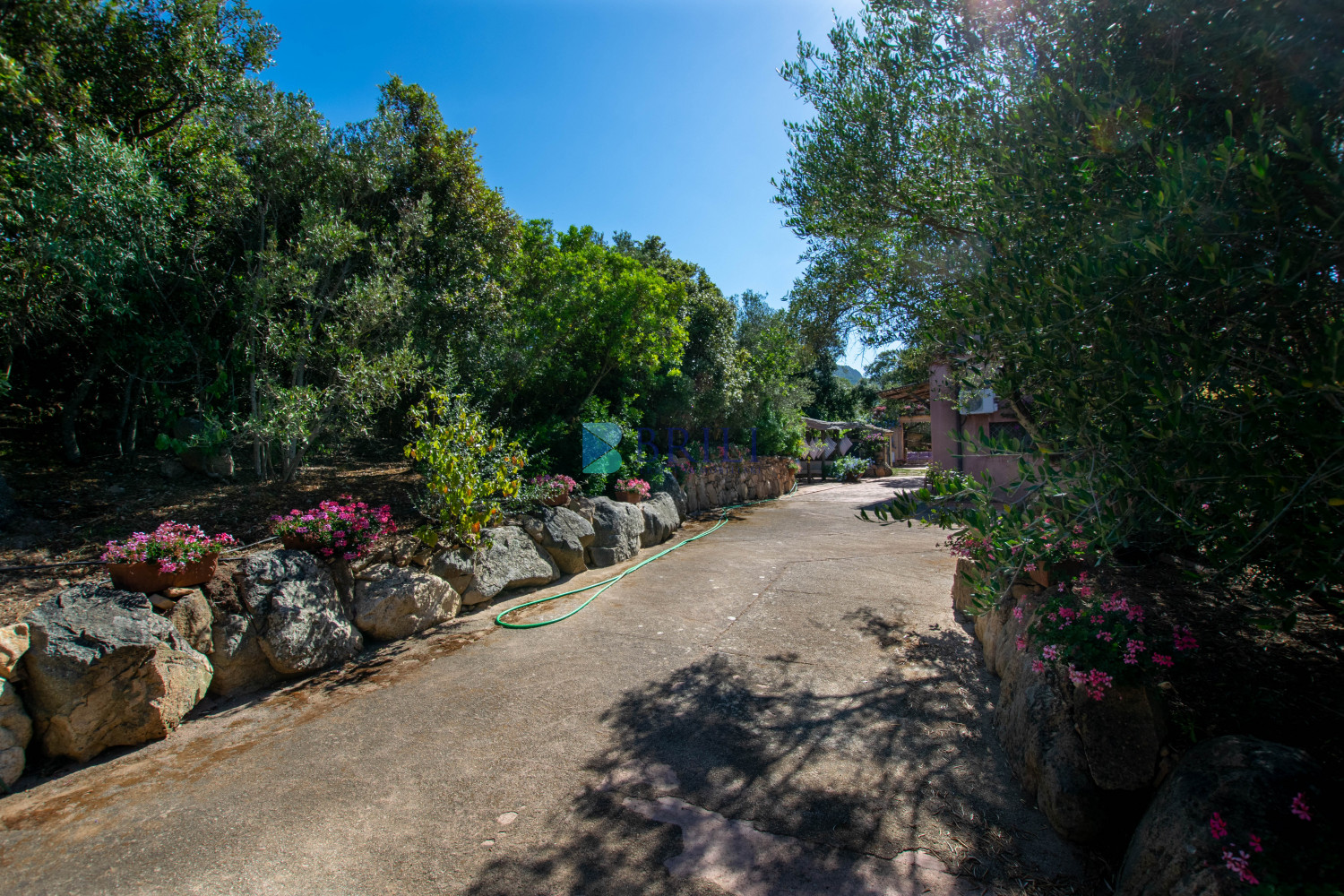  San Pantaleo Stazzo Gallurese and building used as a B&B