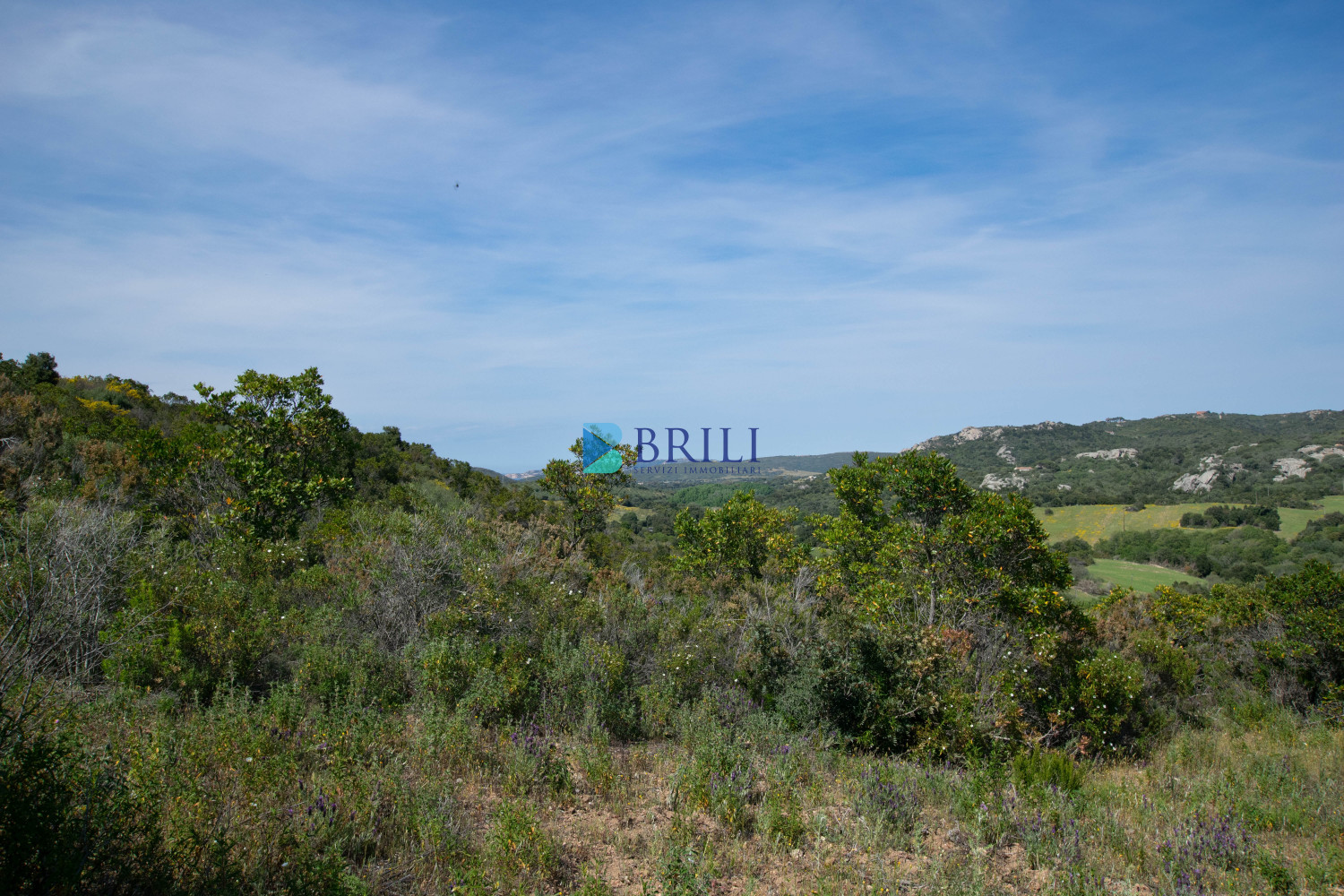 Terreno agricolo a soli 7 km da Palau