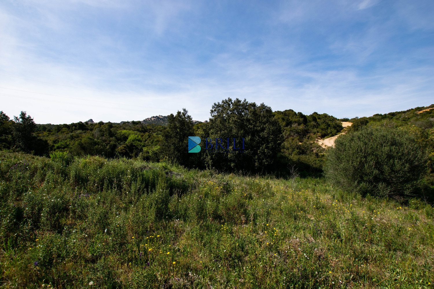 Terreno agricolo a soli 7 km da Palau