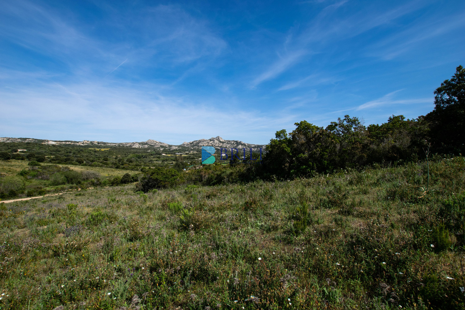 Terreno agricolo a soli 7 km da Palau