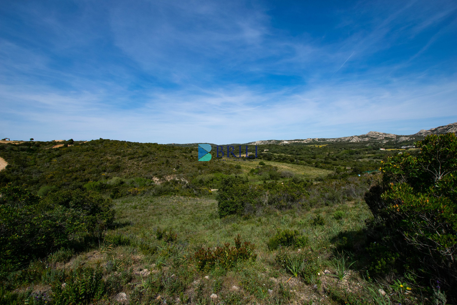 Terreno agricolo a soli 7 km da Palau