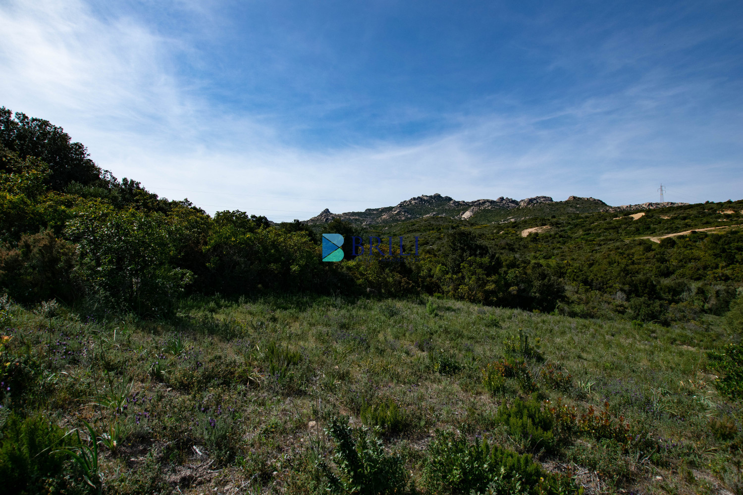 Terreno agricolo a soli 7 km da Palau