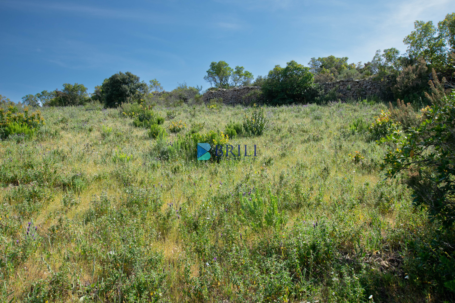 Agricultural land just 7 km from Palau