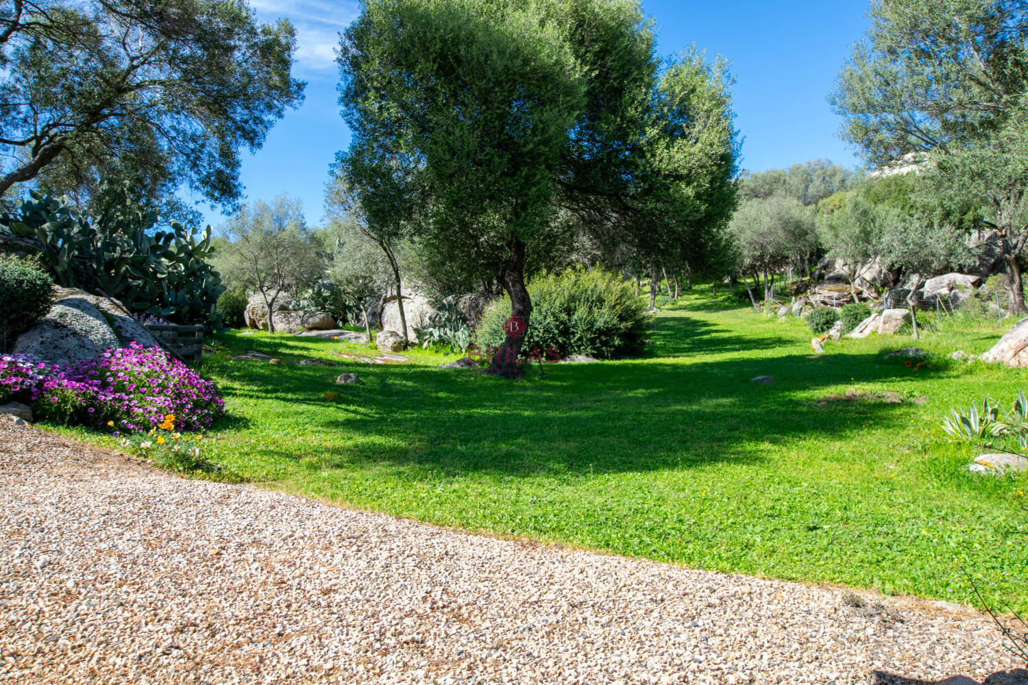 Villa singola su unico livello con vista panoramica