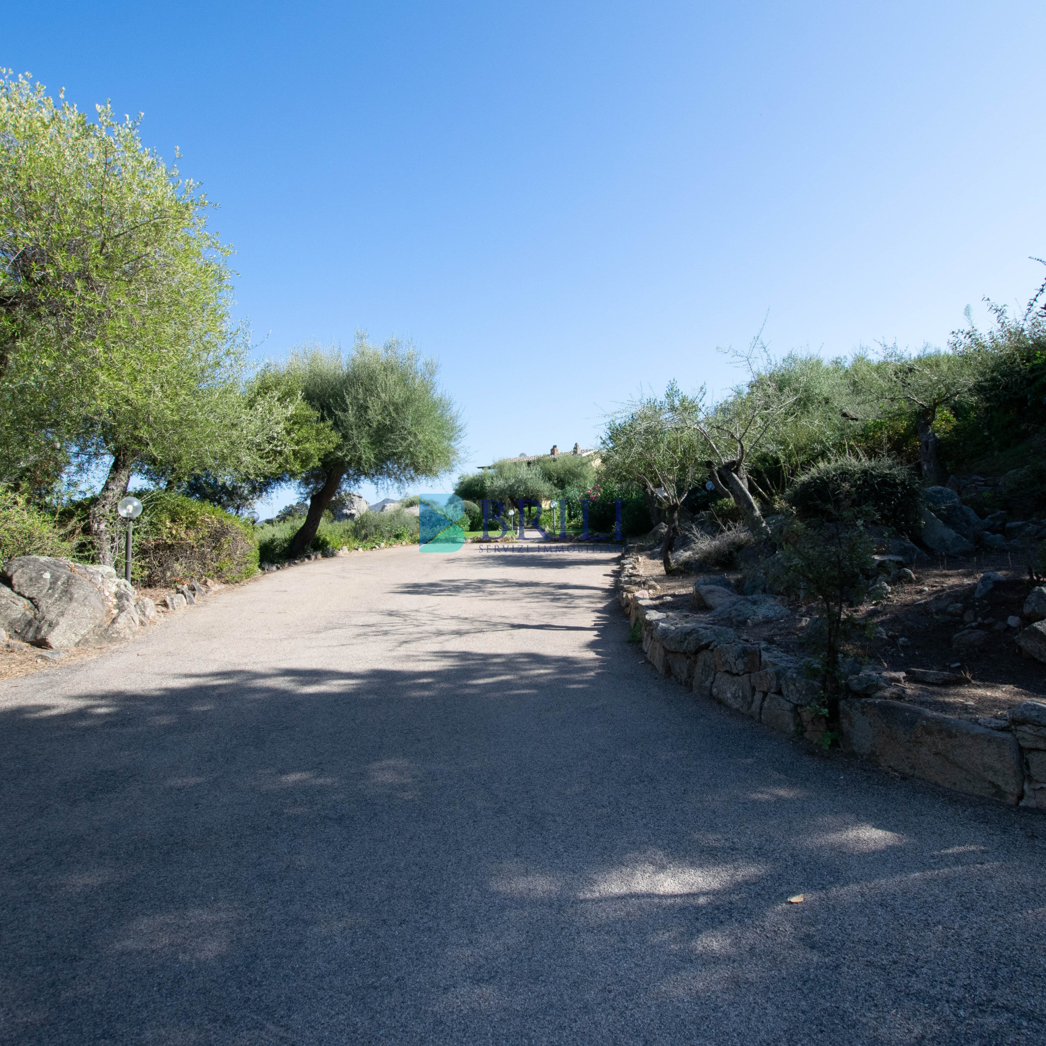 Appartamento con giardino e vista mare a Marinella