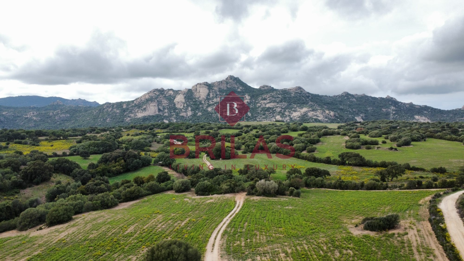 Azienda agricola nel cuore della Gallura