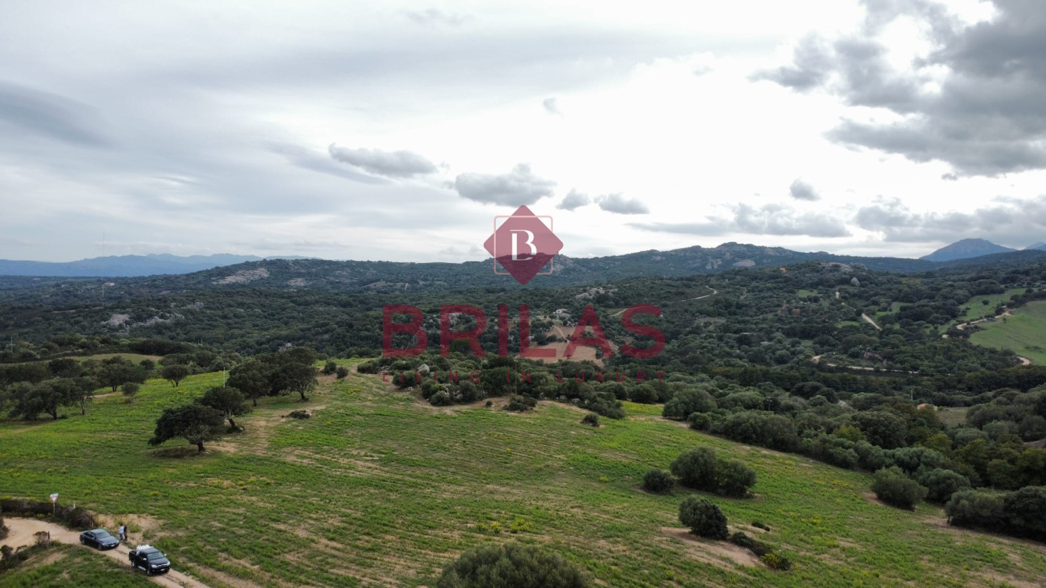 Azienda agricola nel cuore della Gallura