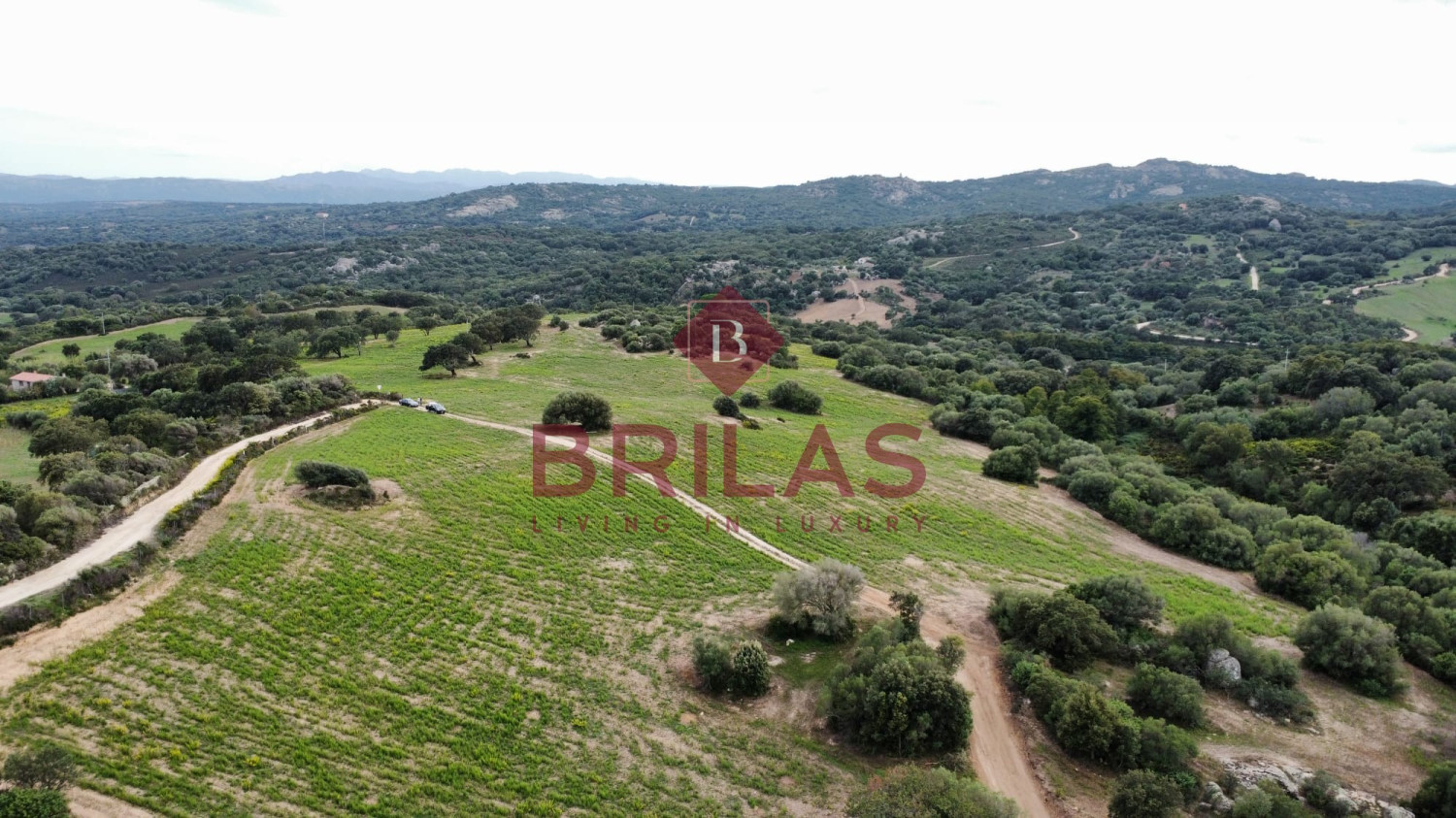 Azienda agricola nel cuore della Gallura