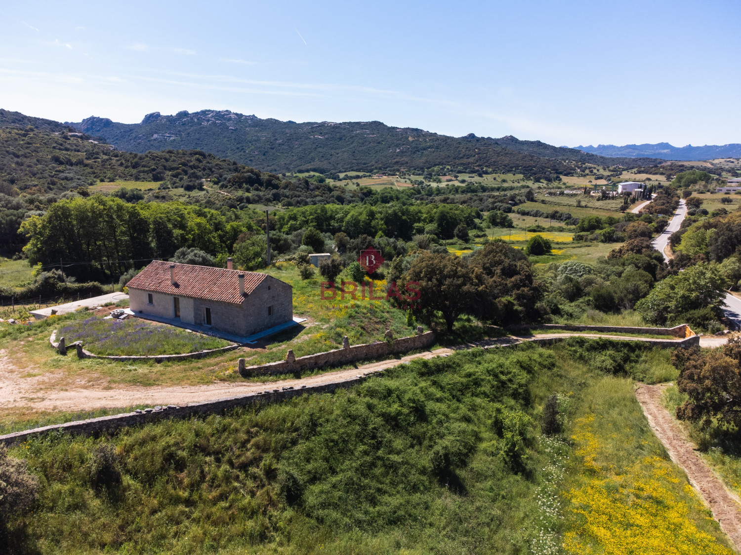 Azienda Agricola di Prestigio con Vigneti e Sugherete