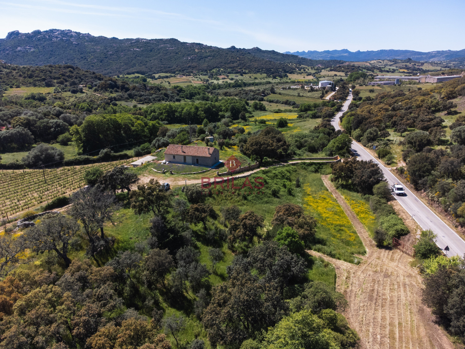 Azienda Agricola di Prestigio con Vigneti e Sugherete