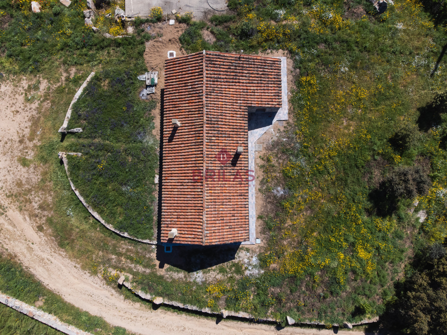 Azienda Agricola di Prestigio con Vigneti e Sugherete