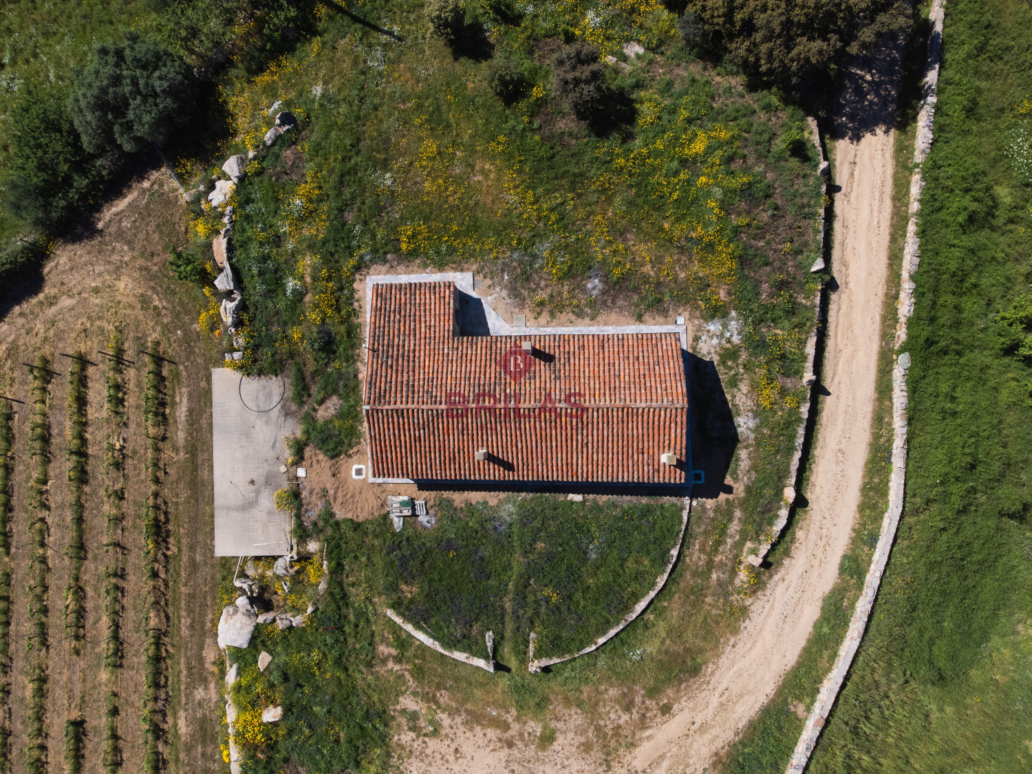 Azienda Agricola di Prestigio con Vigneti e Sugherete
