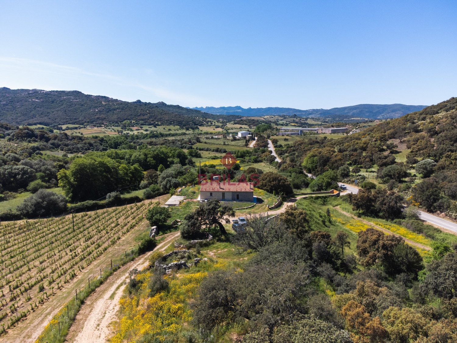 Azienda Agricola di Prestigio con Vigneti e Sugherete
