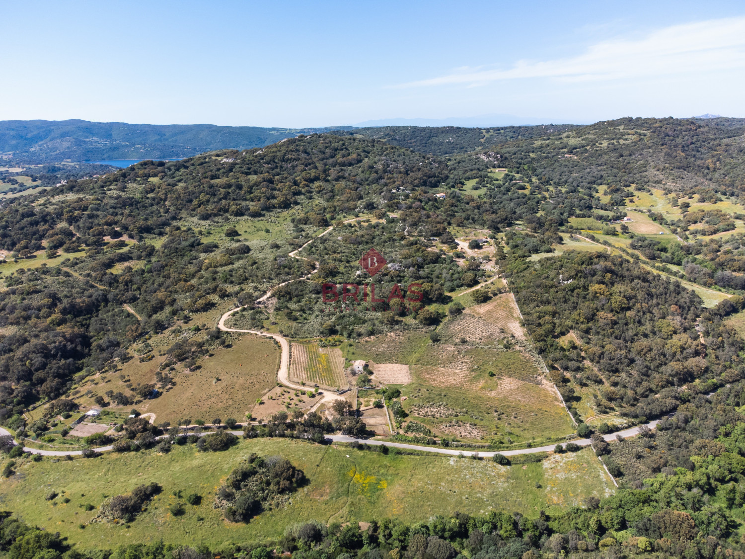 Azienda Agricola di Prestigio con Vigneti e Sugherete