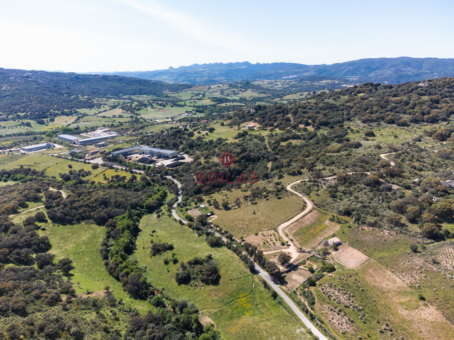 Azienda Agricola di Prestigio con Vigneti e Sugherete