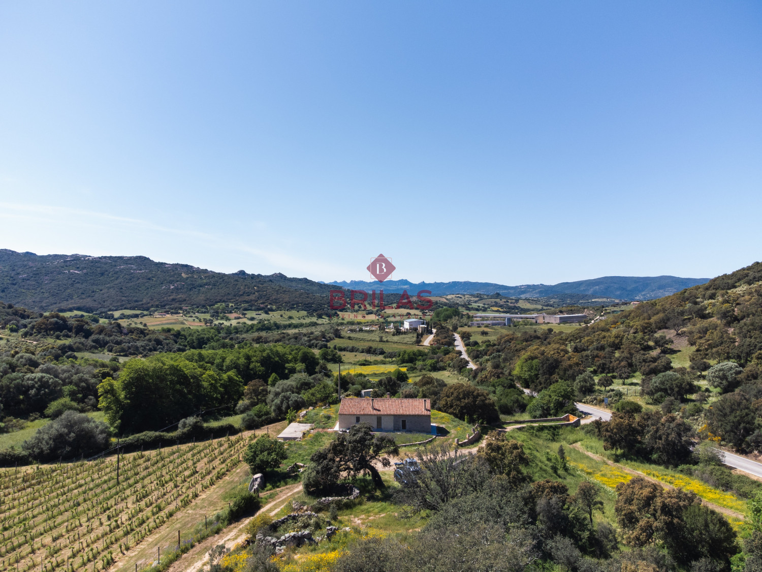 Azienda Agricola di Prestigio con Vigneti e Sugherete