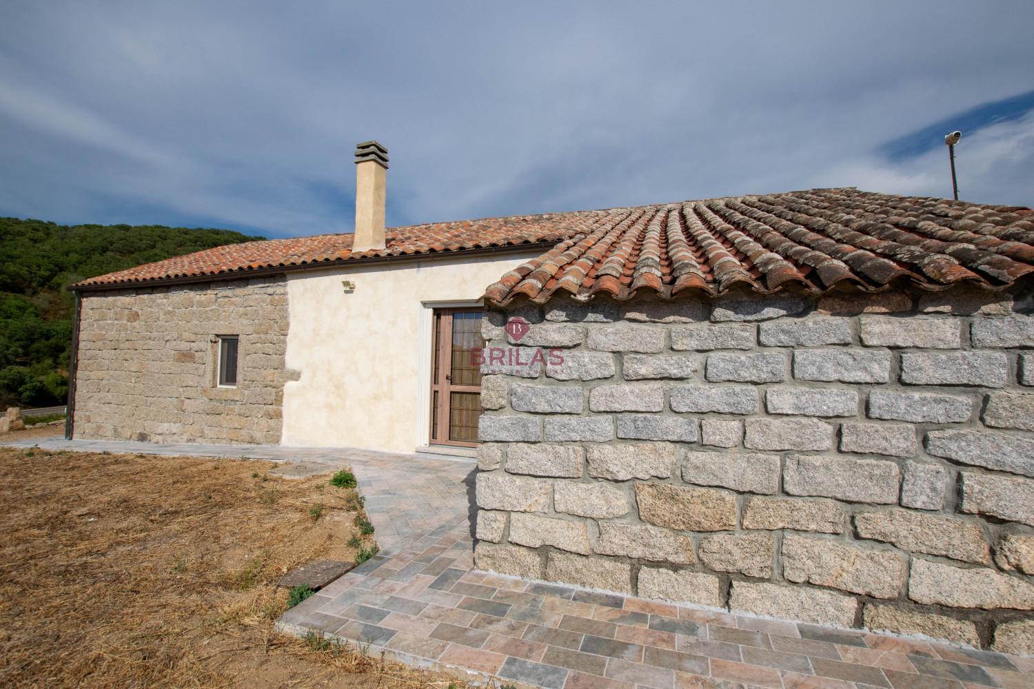 Azienda Agricola di Prestigio con Vigneti e Sugherete