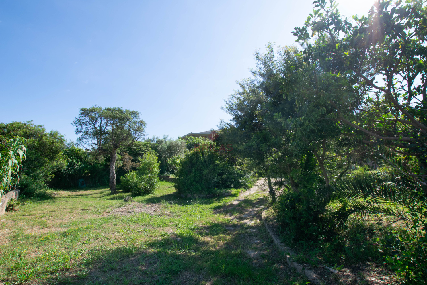Villa Fronte Mare a Pittulongu (Olbia) - Ottima Posizione con Potenziale di Ristrutturazione