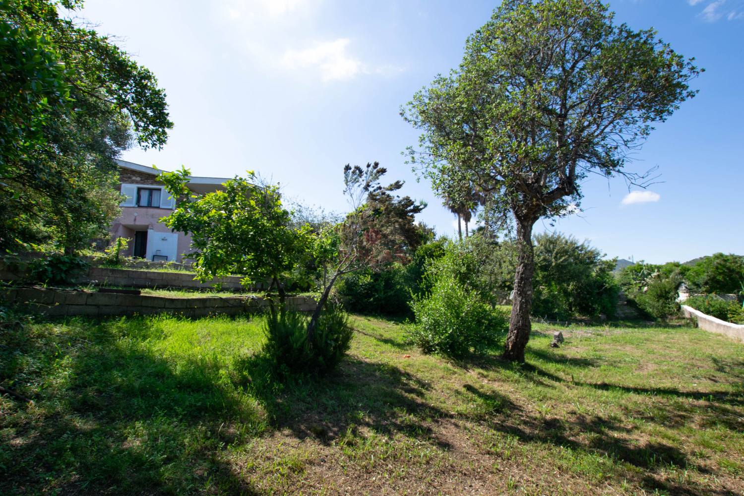 Villa Fronte Mare a Pittulongu (Olbia) - Ottima Posizione con Potenziale di Ristrutturazione