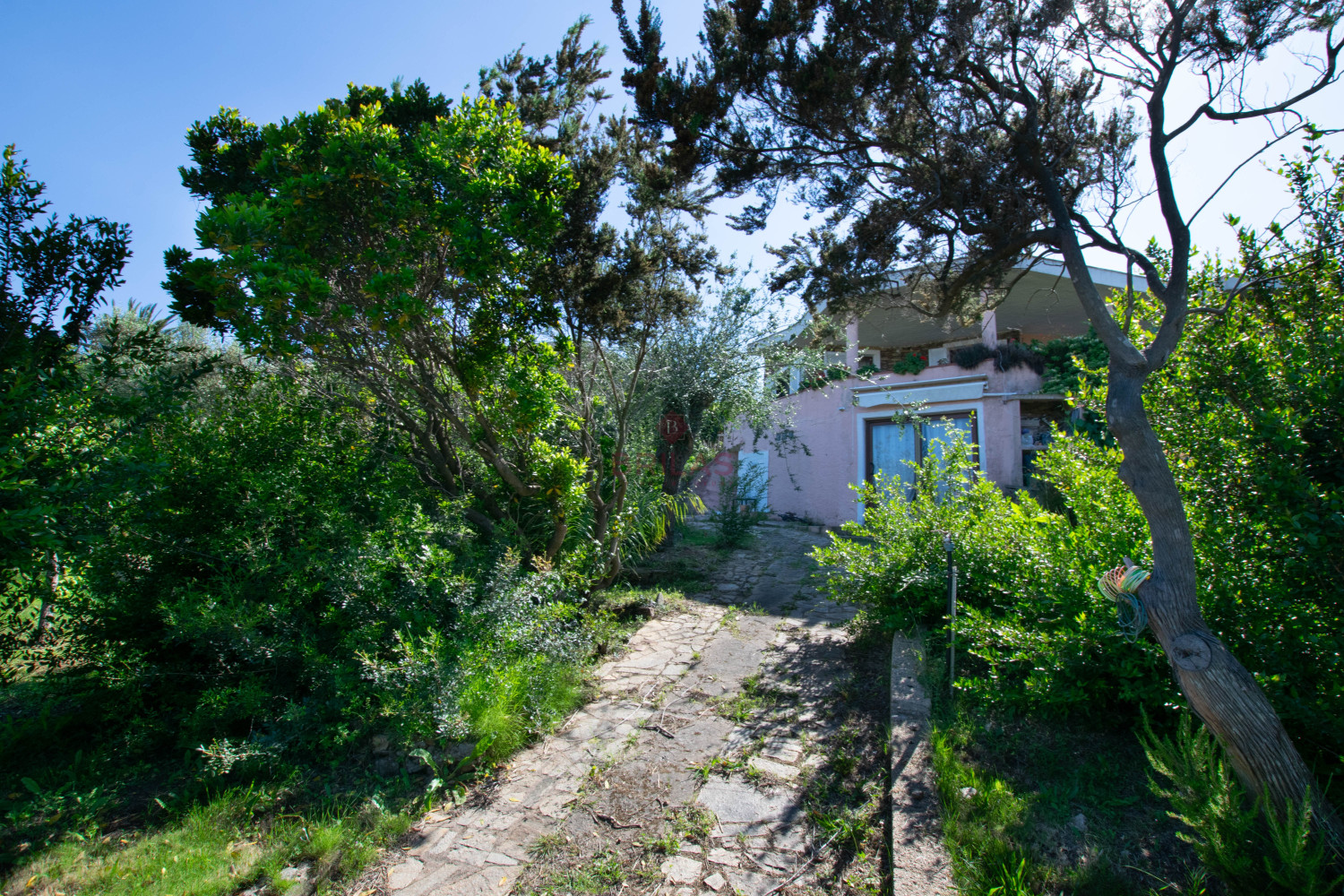 Villa Fronte Mare a Pittulongu (Olbia) - Ottima Posizione con Potenziale di Ristrutturazione