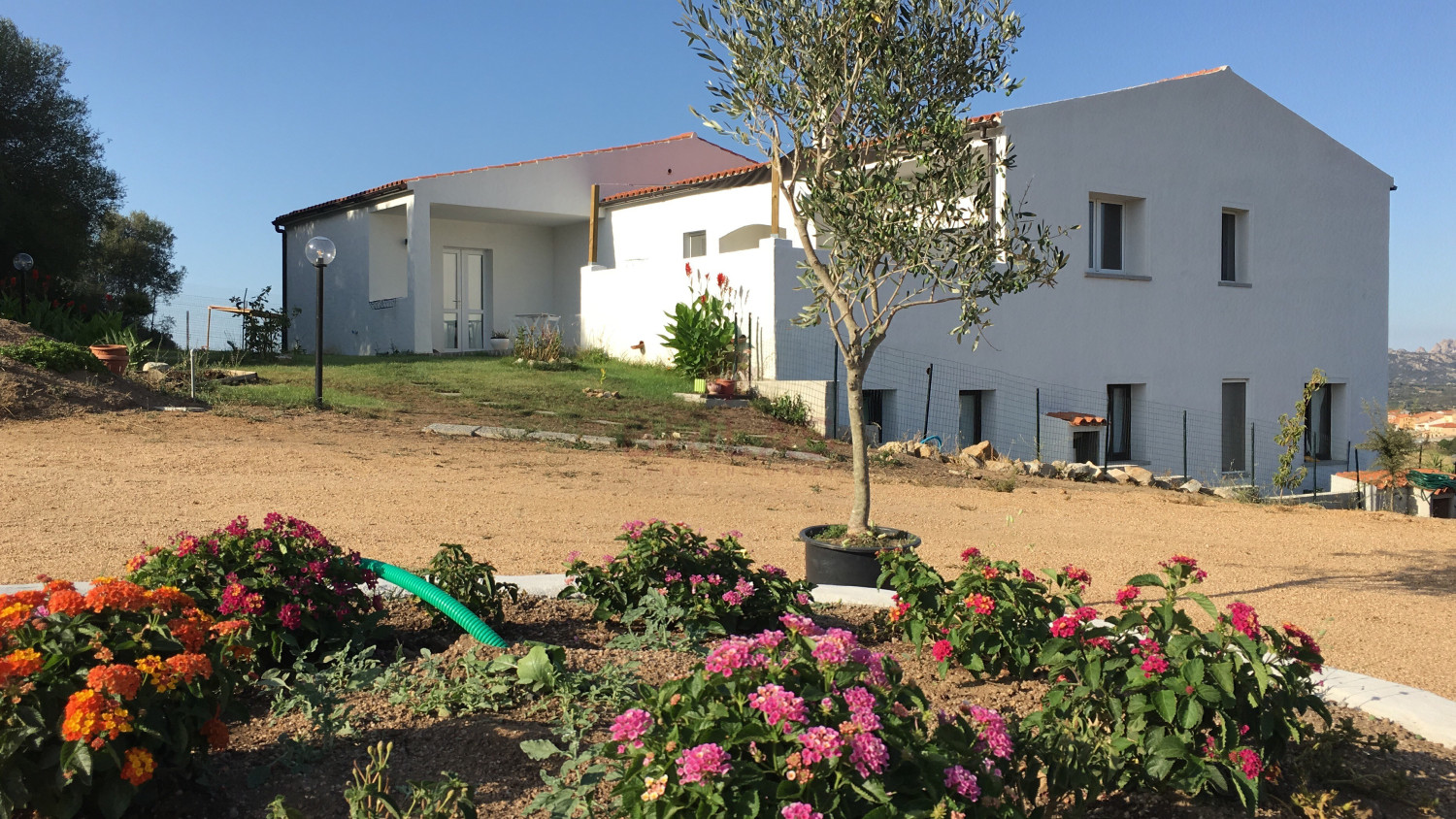 Gallura: a villa immersed in an oasis of peace with B&B potential.