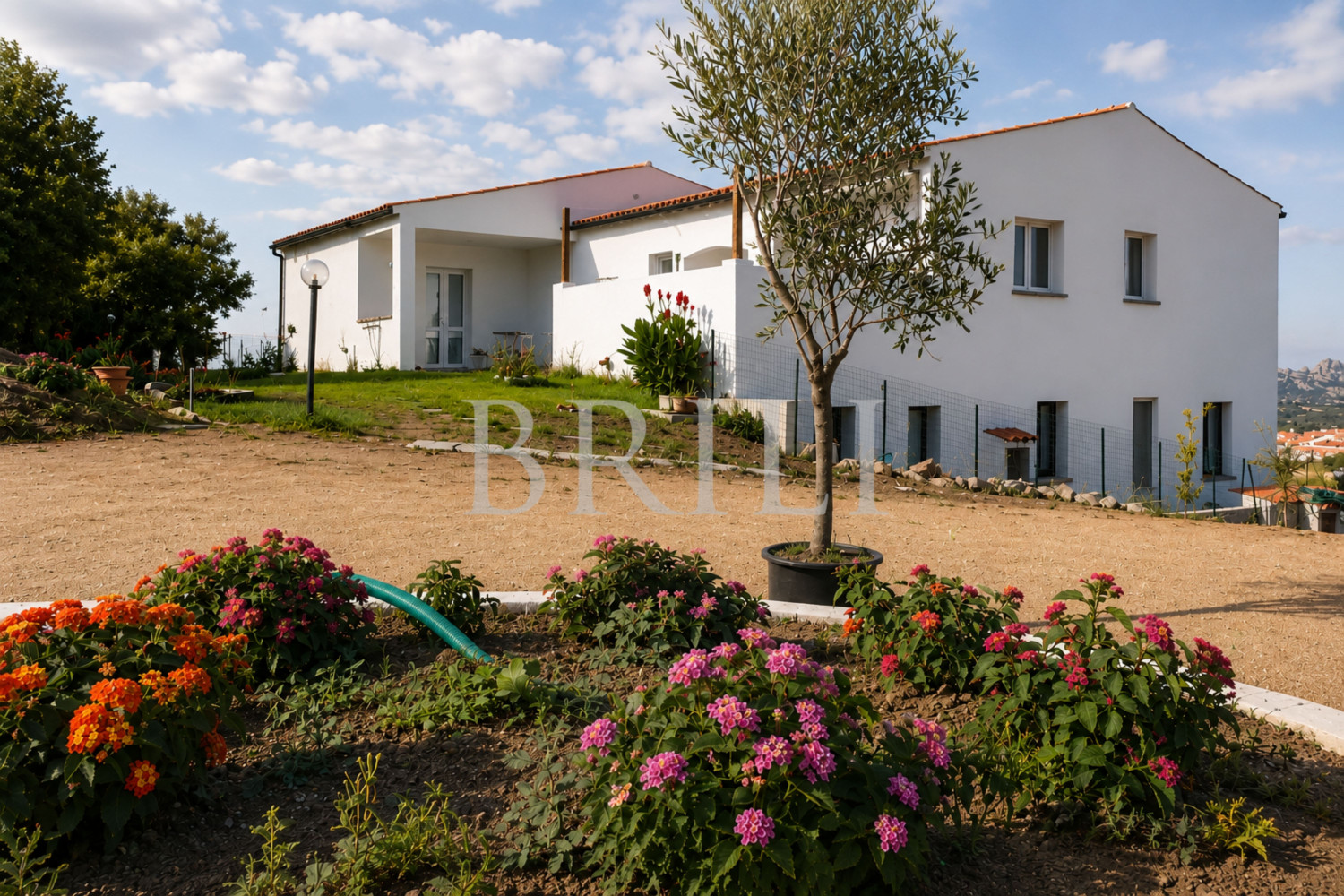 Gallura: a villa immersed in an oasis of peace with B&B potential.