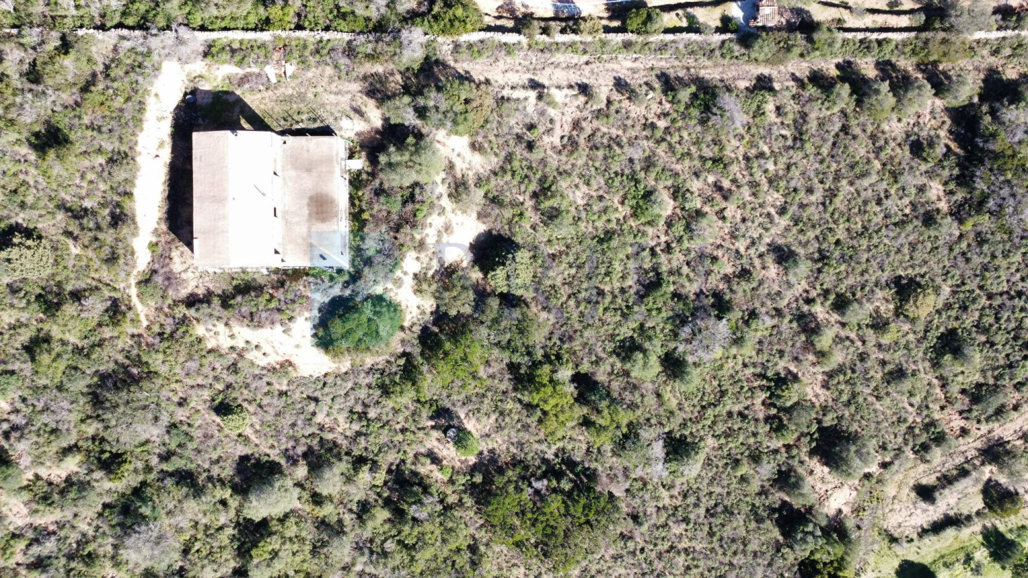 Villa al rustico con un ettaro vicino ad Olbia