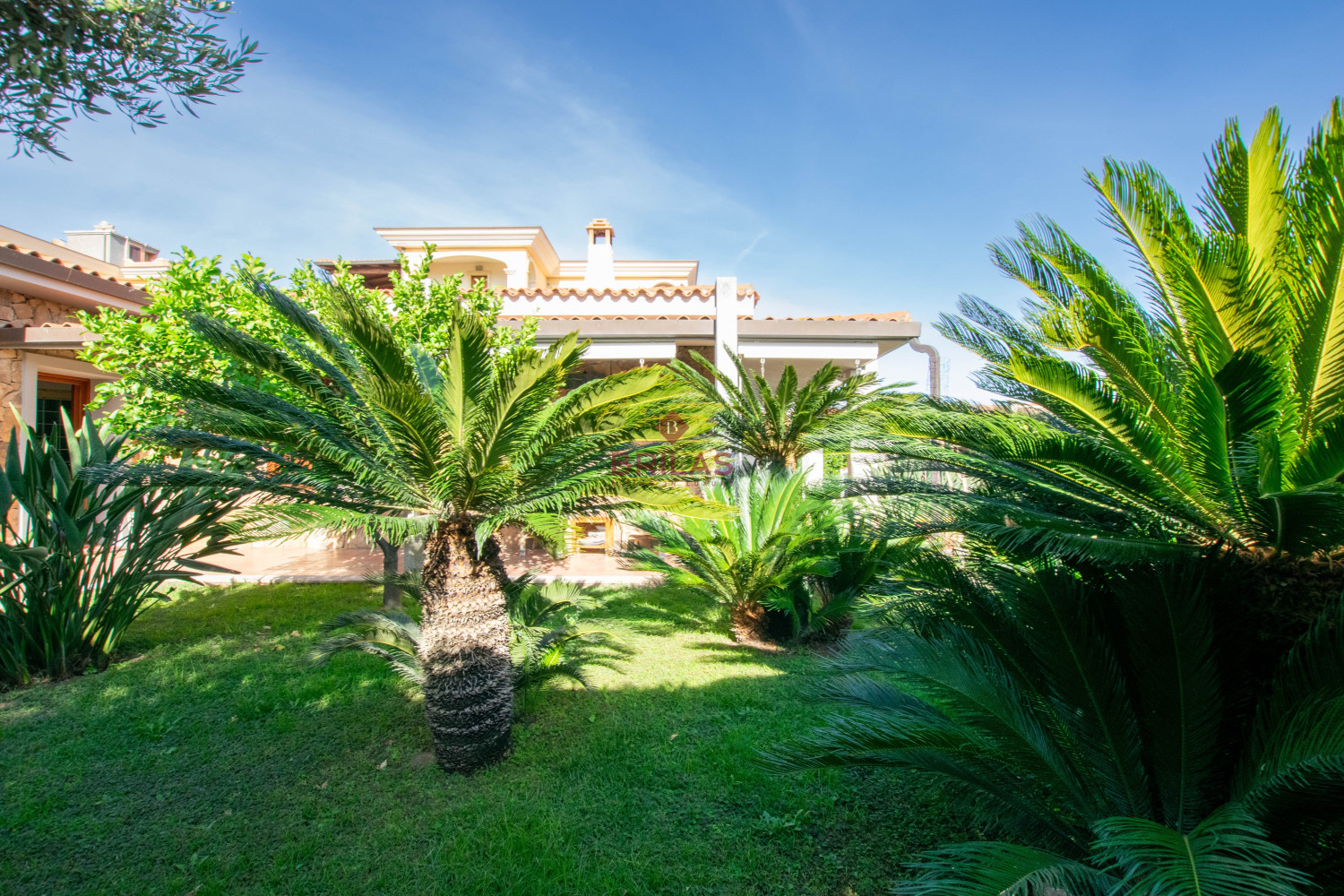 Villa Indipendente a Olbia: Un\'oasi di tranquillità e spazio