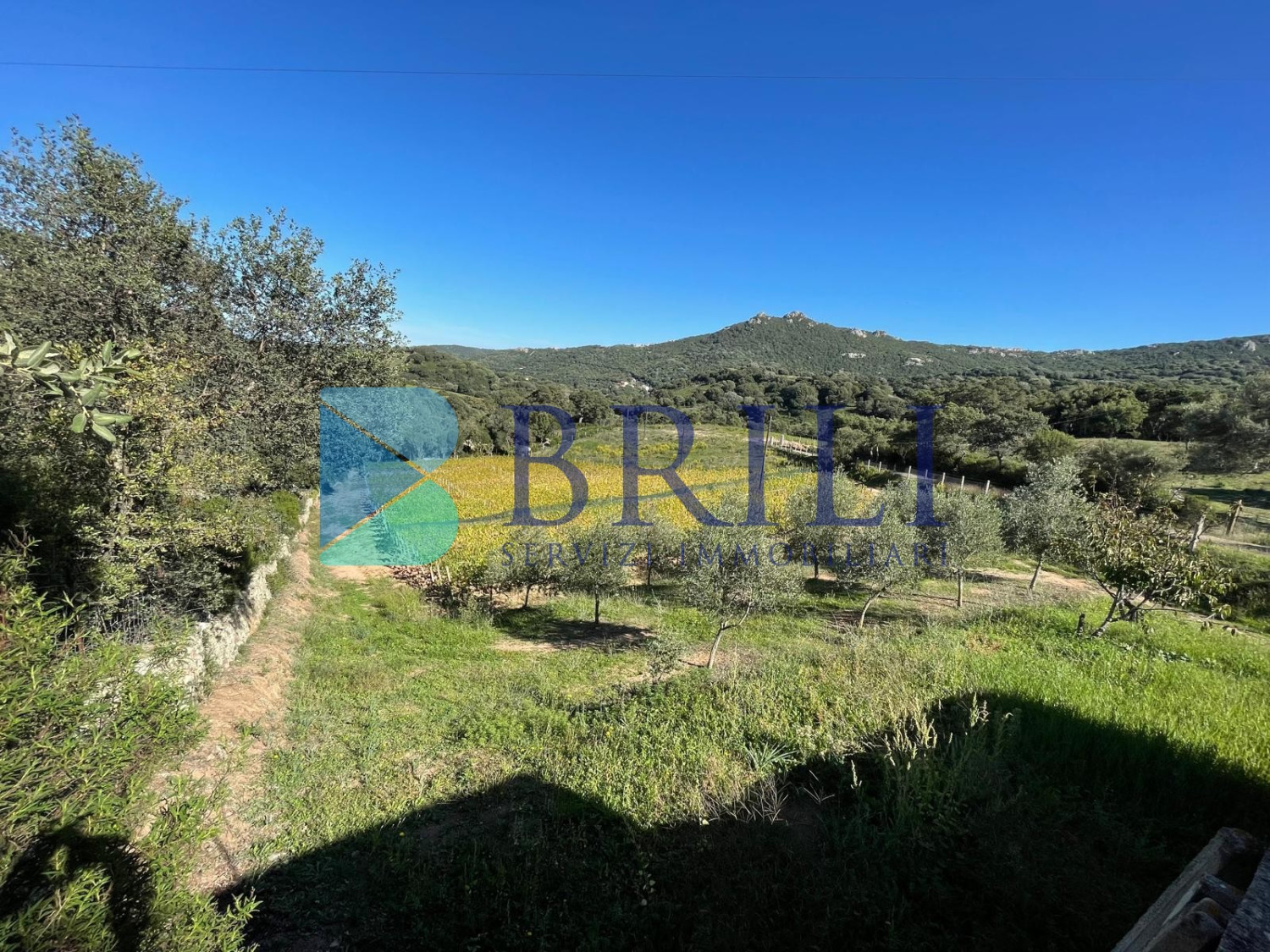 Panoramic agricultural land with approved plans for a country house and swimming pool