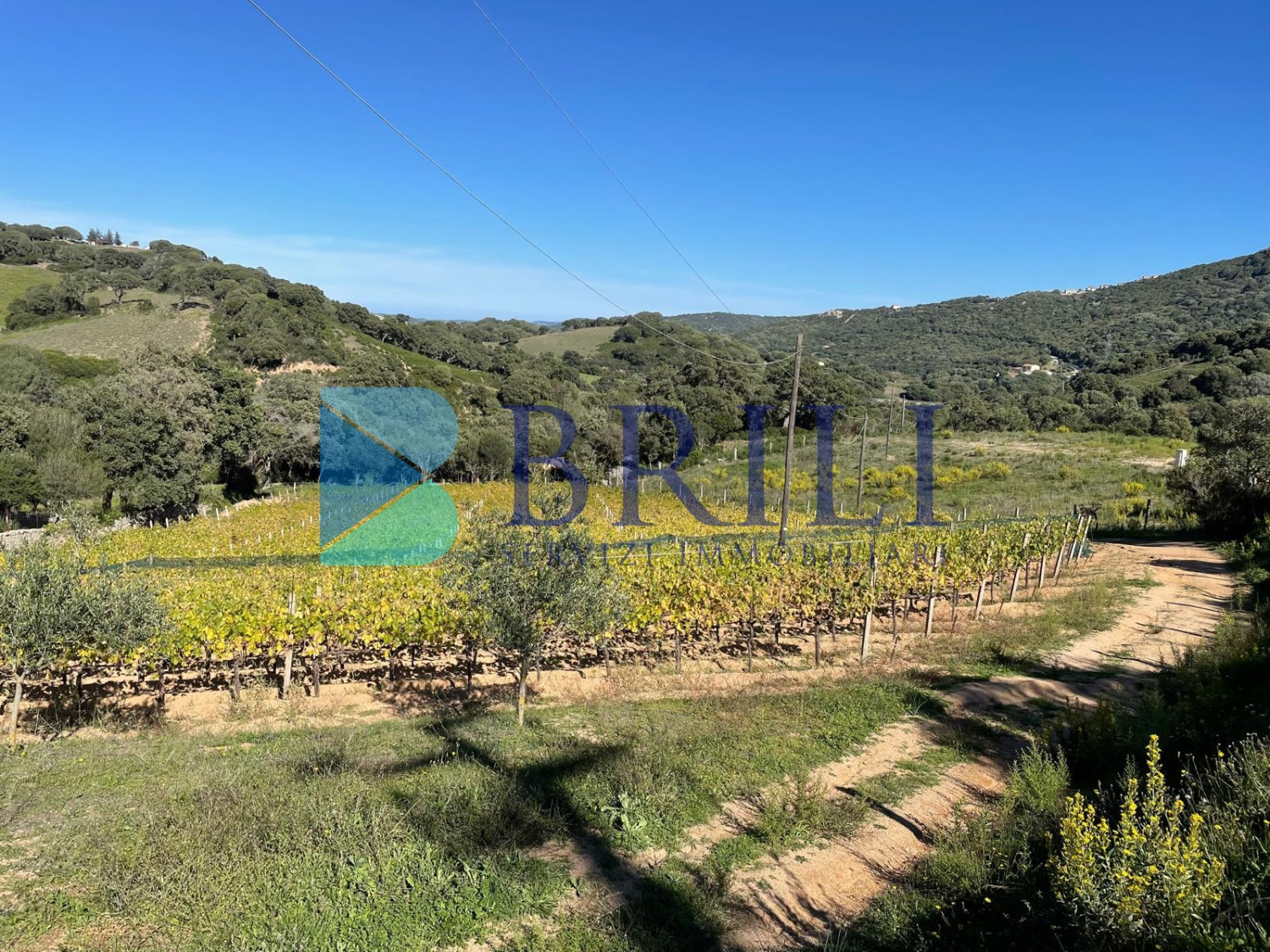 Panoramic agricultural land with approved plans for a country house and swimming pool