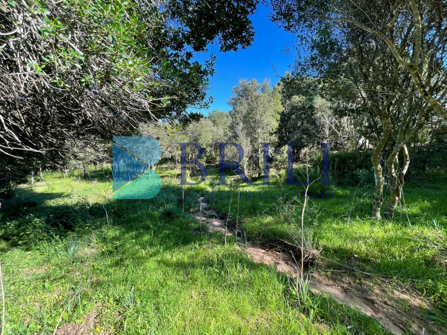 Panoramic agricultural land with approved plans for a country house and swimming pool