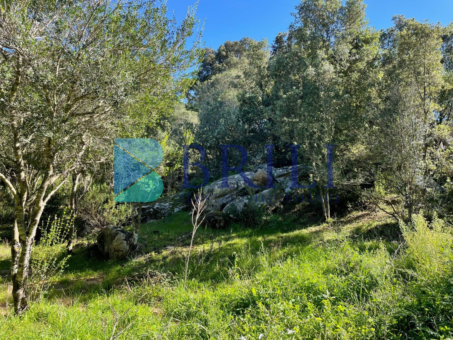 Panoramic agricultural land with approved plans for a country house and swimming pool