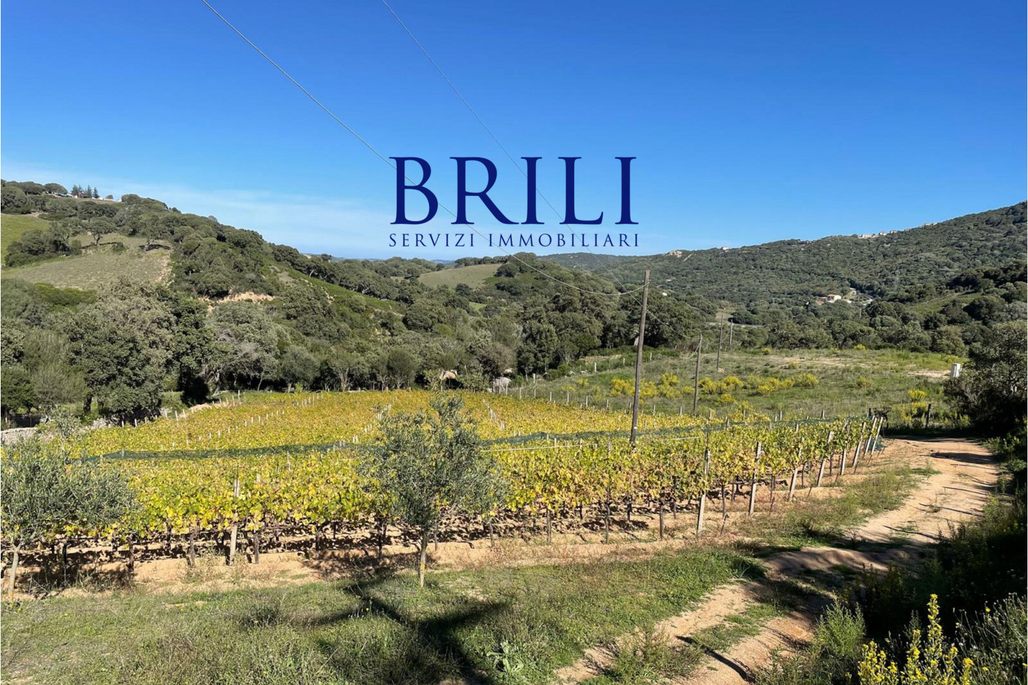 Panoramic agricultural land with approved plans for a country house and swimming pool