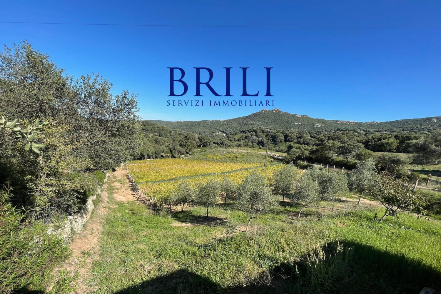 Panoramic agricultural land with approved plans for a country house and swimming pool