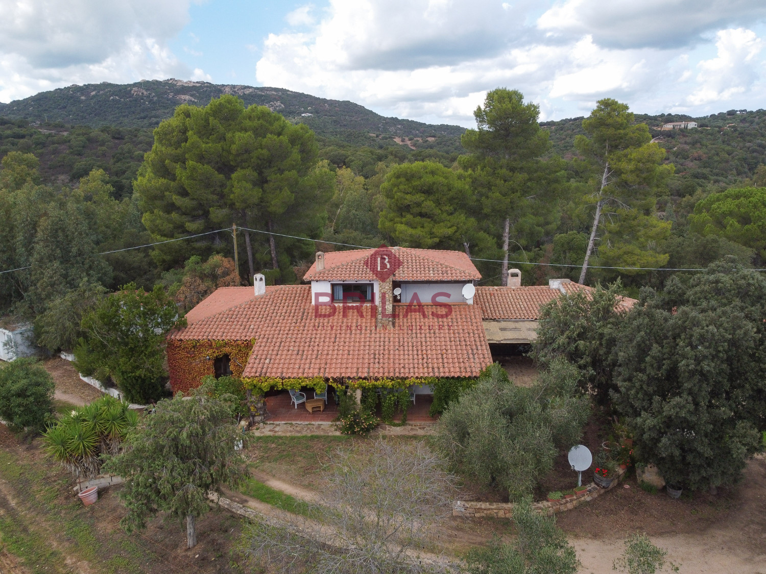 Villa rustica con vigna e uliveto