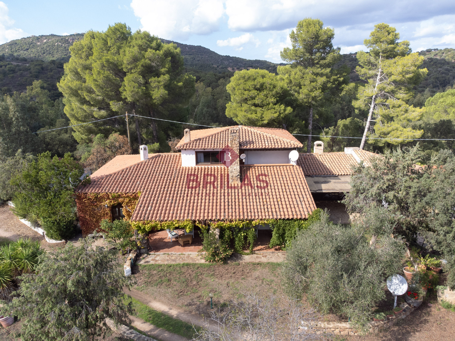 Villa rustica con vigna e uliveto