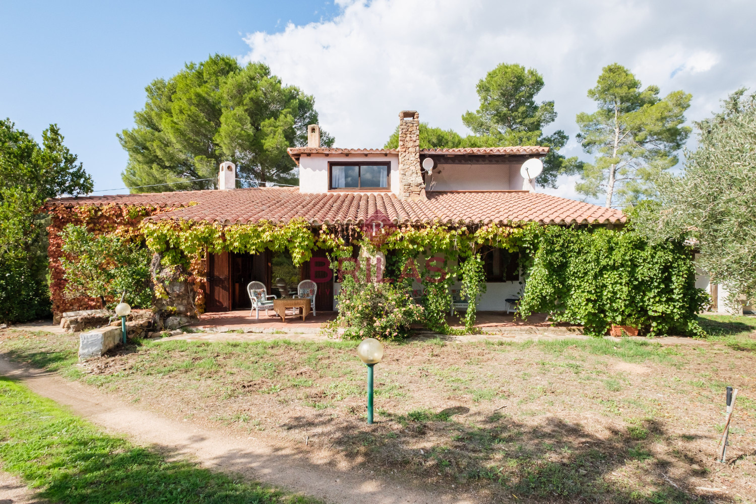 Villa rustica con vigna e uliveto