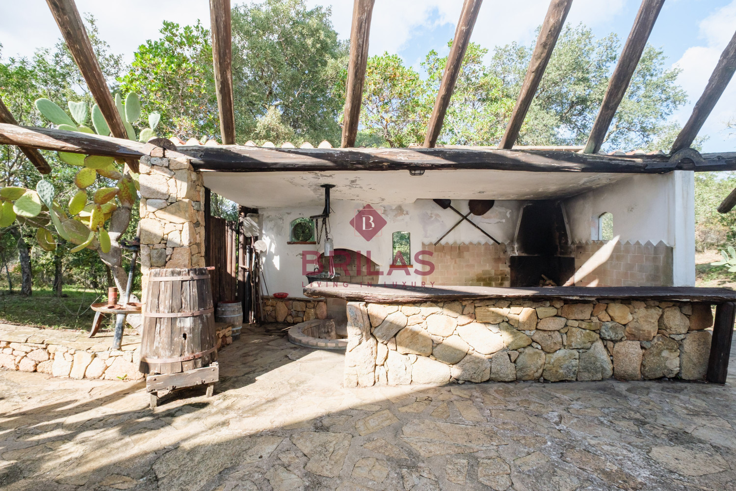 Villa rustica con vigna e uliveto