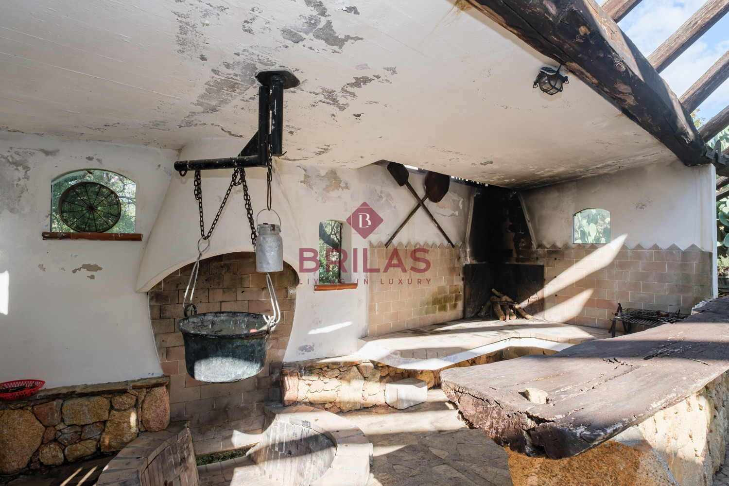 Villa rustica con vigna e uliveto