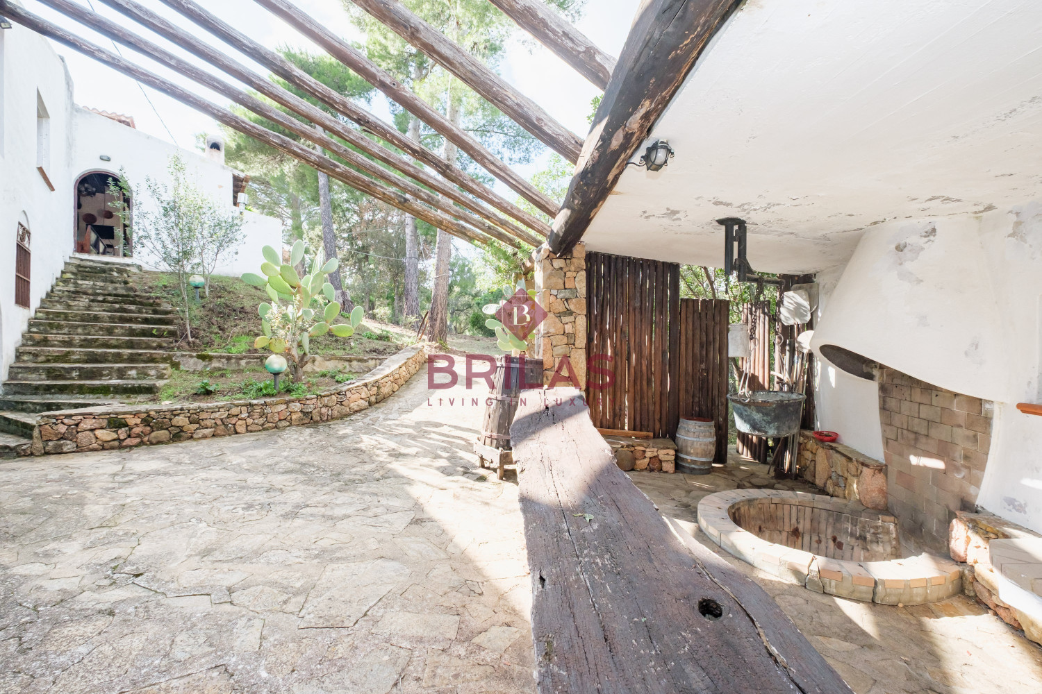 Villa rustica con vigna e uliveto