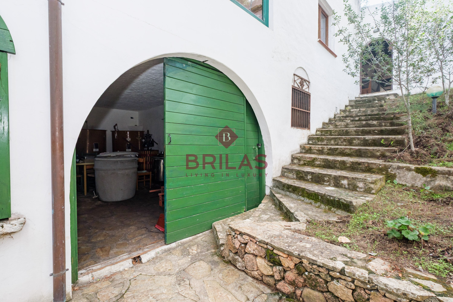 Villa rustica con vigna e uliveto