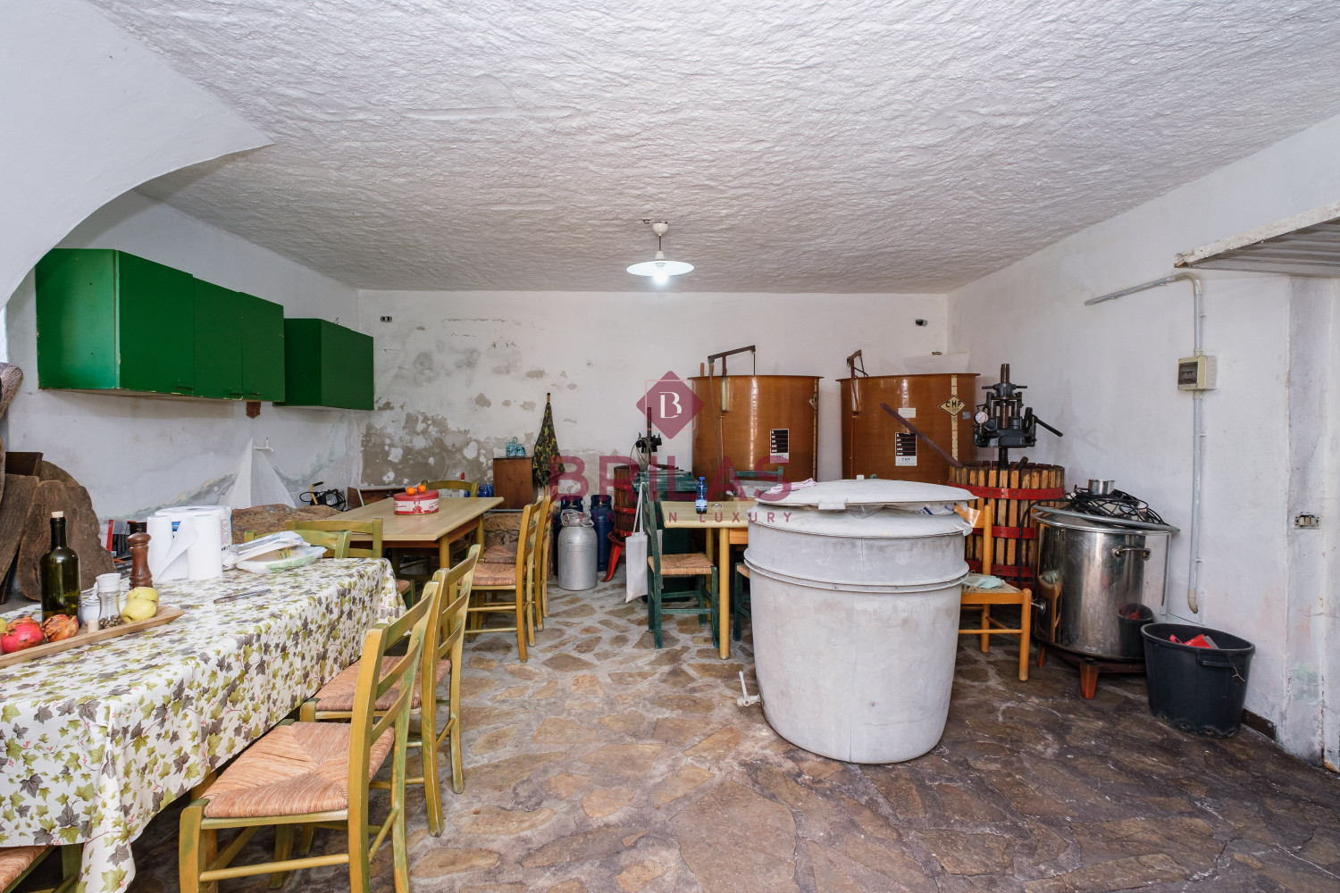 Villa rustica con vigna e uliveto