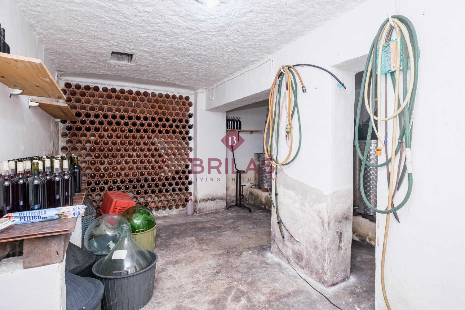 Villa rustica con vigna e uliveto