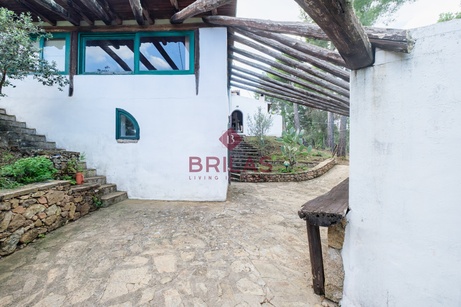 Villa rustica con vigna e uliveto
