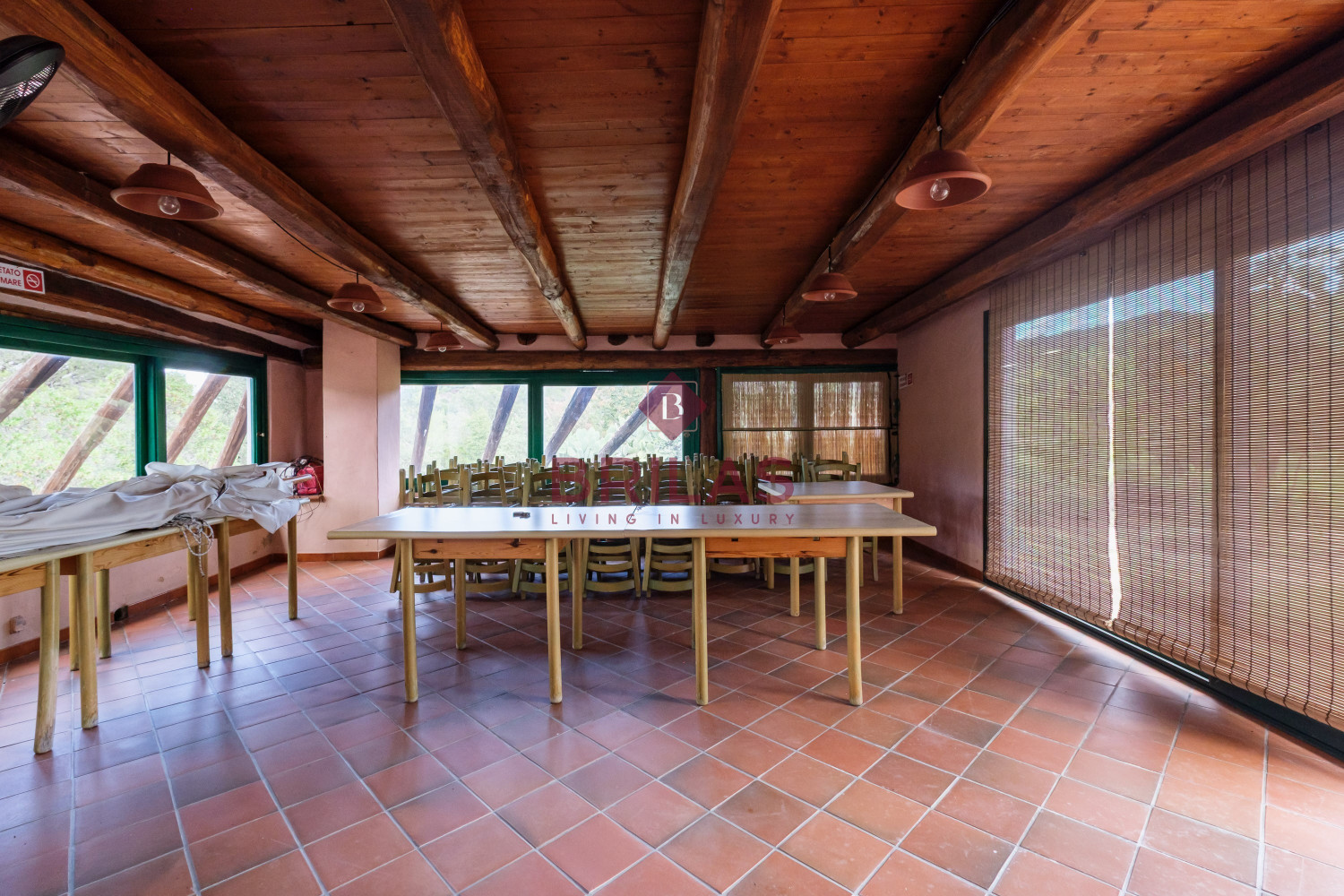 Villa rustica con vigna e uliveto