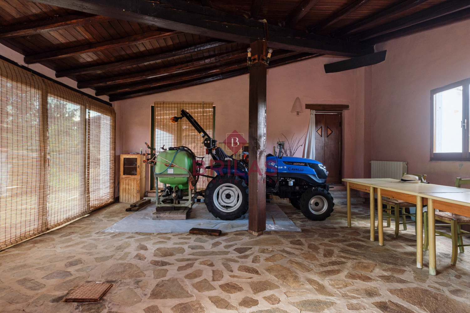 Villa rustica con vigna e uliveto