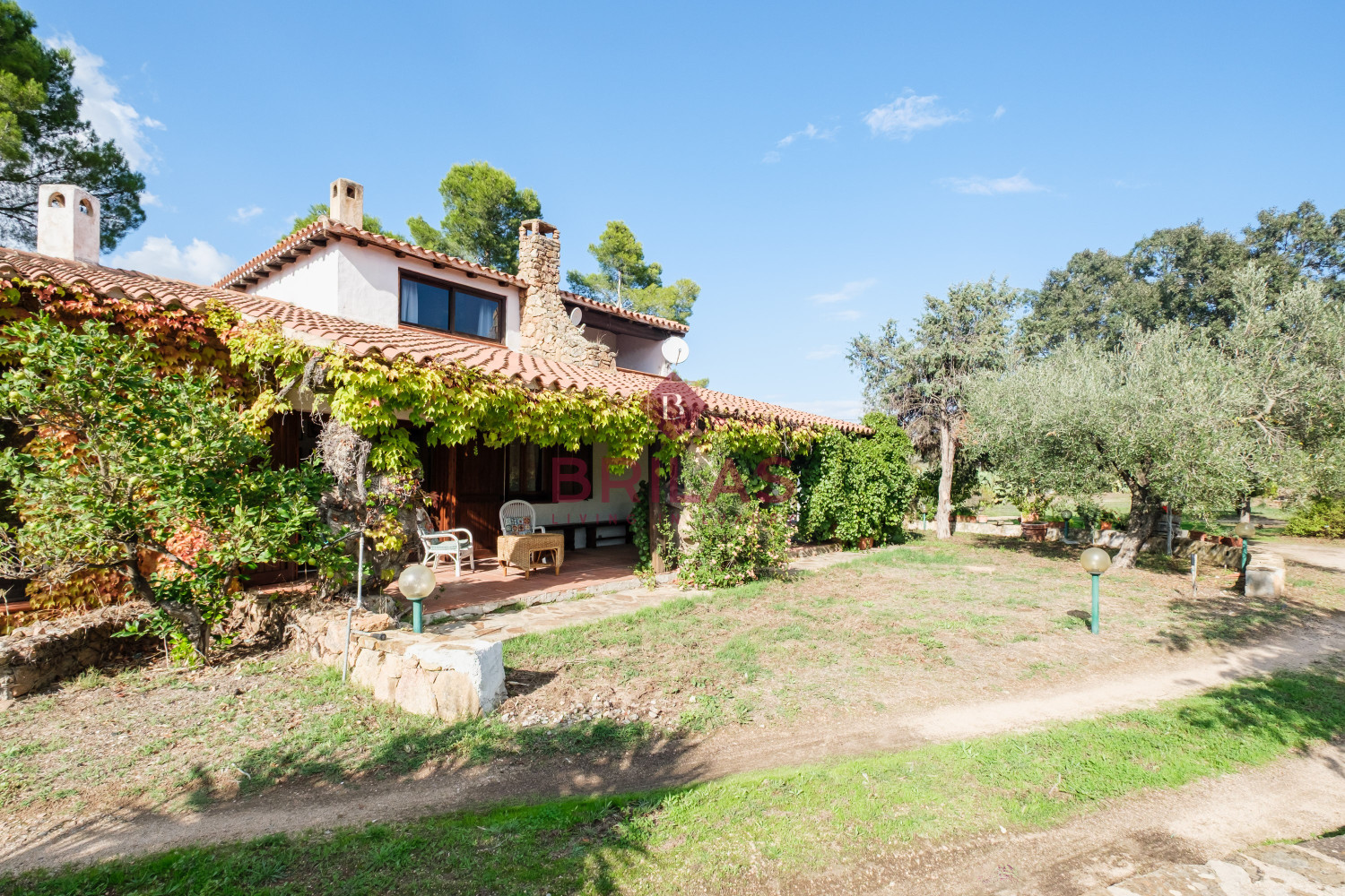 Villa rustica con vigna e uliveto
