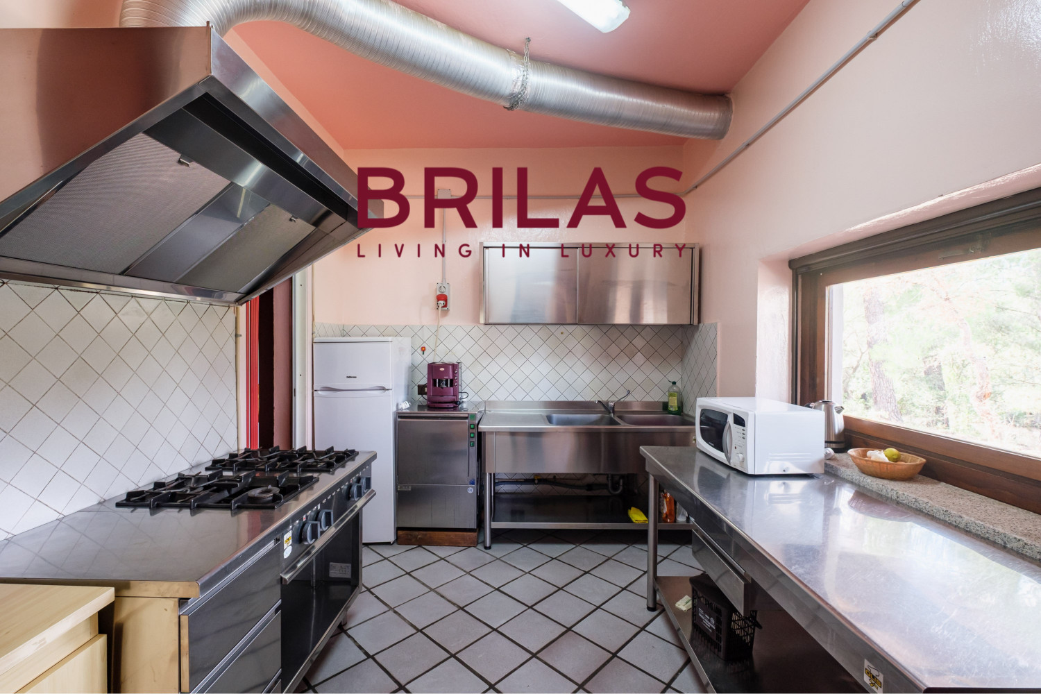 Villa rustica con vigna e uliveto