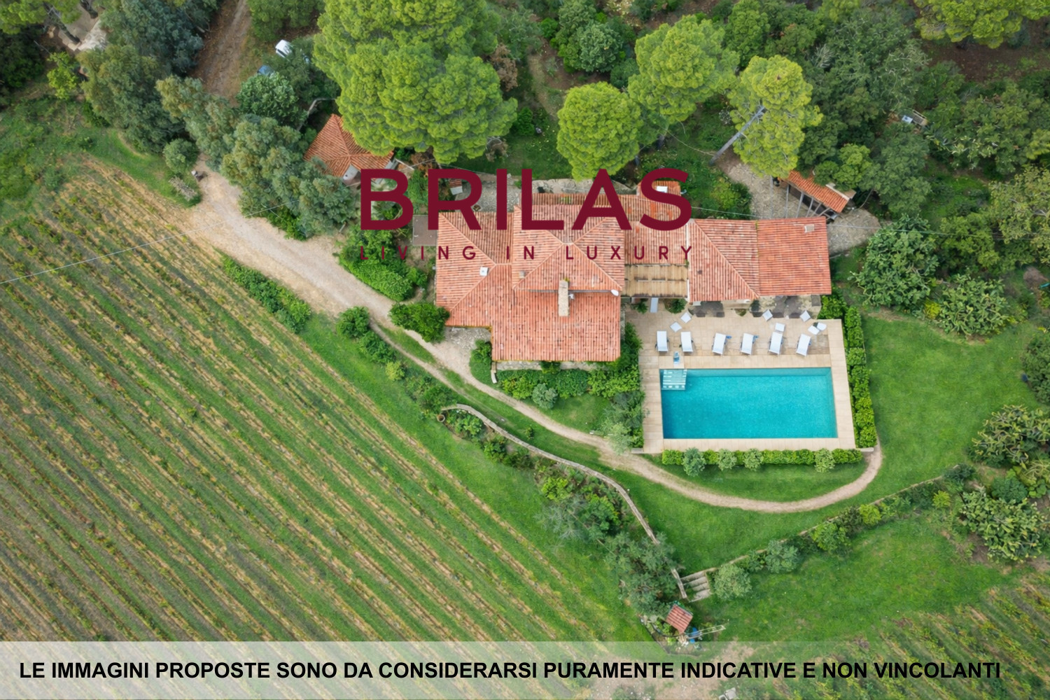 Villa rustica con vigna e uliveto